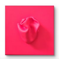 <div style="font-family: Arial, sans-serif; color:#2E2E2E; line-height:1.5;">   <strong>Pink Drift</strong><br>   Acryl, Formmedium auf Leinwand<br>   20 x 20 cm </div>